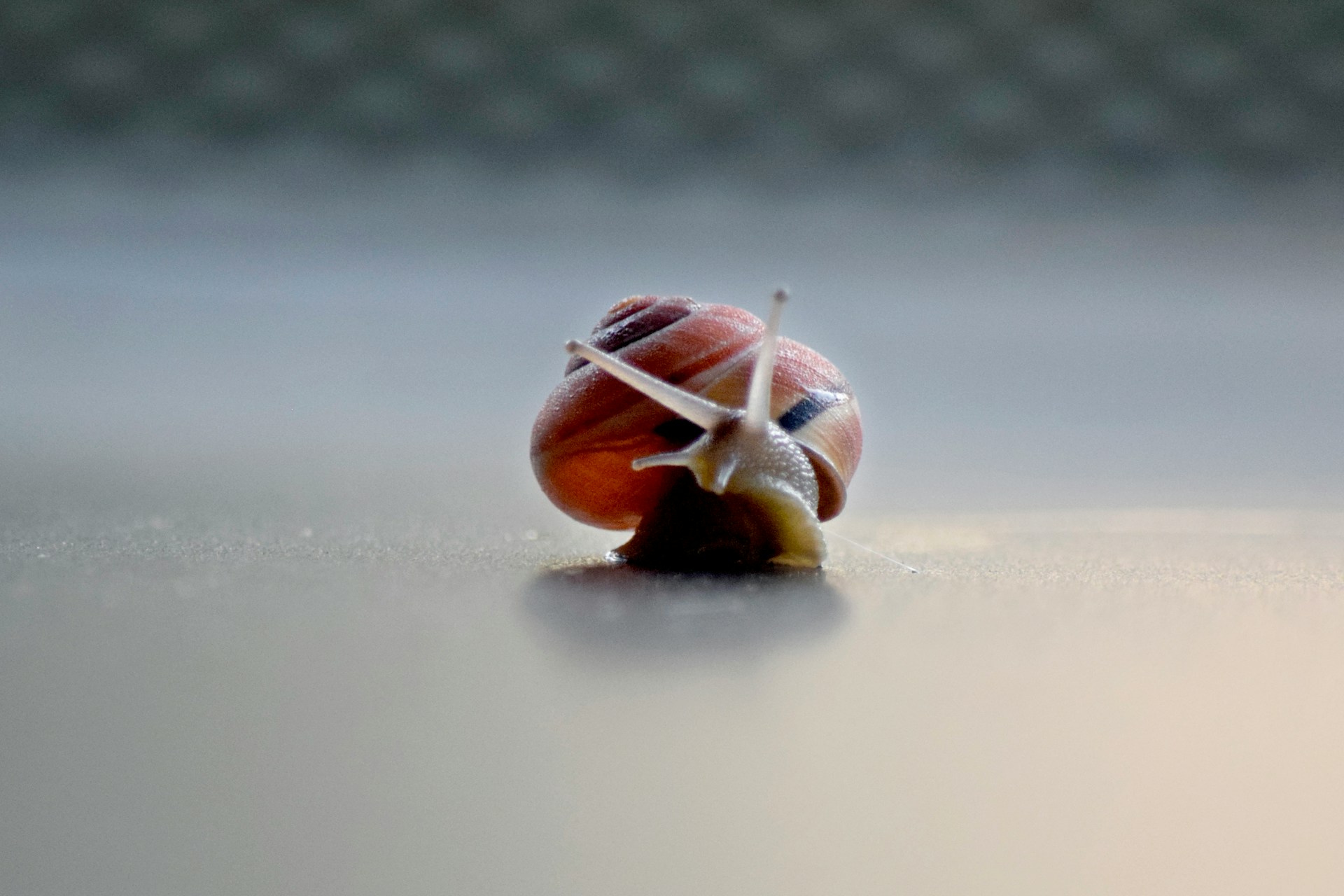 How Embracing Slow Living Changed My Creativity
